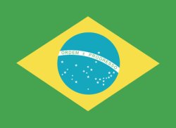 brazil flag Meme Template