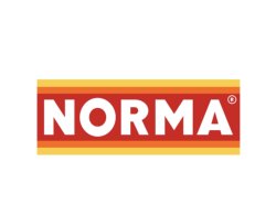 Norma Meme Template