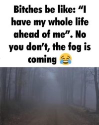 I have my whole life ahead of me no you dont fog is coming Meme Template