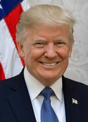 Donald J. Trump 2020 Meme Template