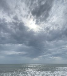 Beach Trip. Meme Template