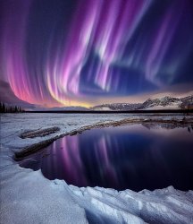 Auroras. Photo by David Garrido. Meme Template