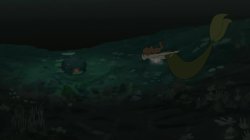 barbosa swimming home Meme Template