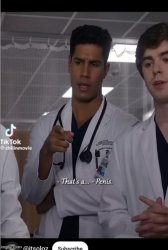 Shaun "That's a penis" Meme Template