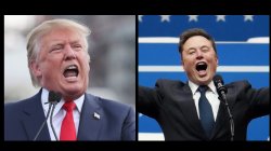 Donald Trump and Elon Mush Meme Template
