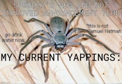 spooder's suck-ass announcement temp Meme Template