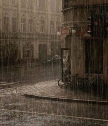 Rain. Meme Template