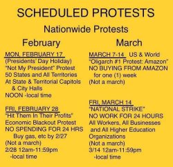 Scheduled Protests Meme Template