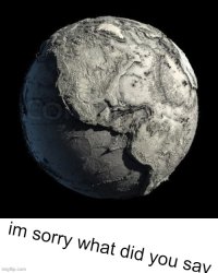 im sorry what did you say Meme Template