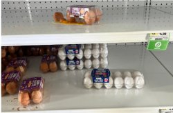 Higher egg prices in the U.S. Meme Template