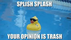 Rubber duck  calls your opinion trash Meme Template