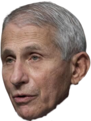 Fauci Meme Template