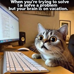 Funny cat Meme Template