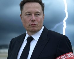 DOGE Chancellor Elon Musk frowning Meme Template