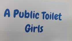 Public toilet Meme Template