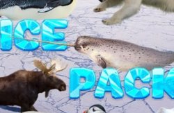 Ice Pack Meme Template