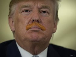 Donald Trump Dirty Sanchez mustache Putin Meme Template