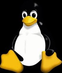 Linux penguin Meme Template