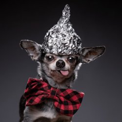 Bunker Meme Template