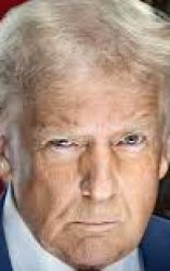 Trump Meme Template