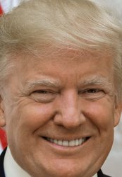 Donald Meme Template