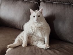 BigBoy Meme Template