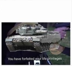 You have forfeited your life privileges Meme Template