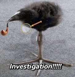 INVESTIGATION!!!!! Meme Template