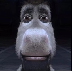 How I look at bro Meme Template