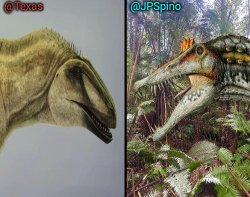 Texas and spino temp Meme Template