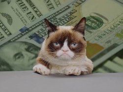 Grumpy cat table money Meme Template