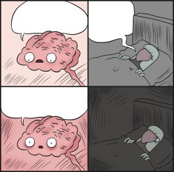 Rowdy Before Sleep Meme Template