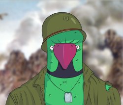 Rowdy PTSD Meme Template