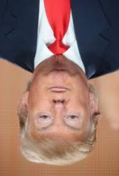 Donald Trump 2025 Meme Template