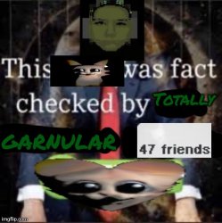 This Car Was fact checked by TOTALLY GARNULAR 47 friends Meme Template