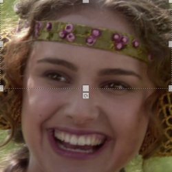 Padme 1 panel Meme Template