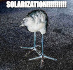 SOLARIZATION Meme Template