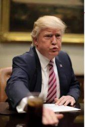 Trump Huffin' 'n Puffin' Meme Template