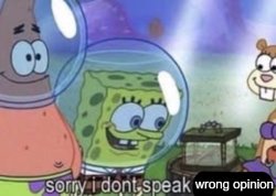 Sorry I don't speak wrong opinion Meme Template