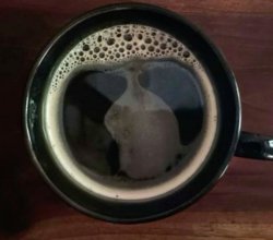 Coffee. Meme Template