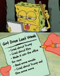 trump truth Meme Template
