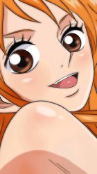 nami Meme Template