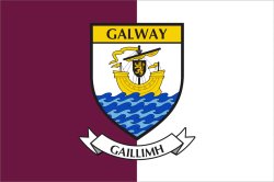County Galway Meme Template