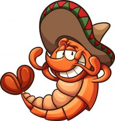 Shrimp wearing a sombrero Meme Template