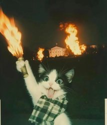 cat fire Meme Template