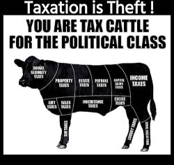 Tax Cattle Meme Template