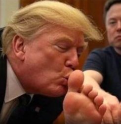 Sub Trump Meme Template