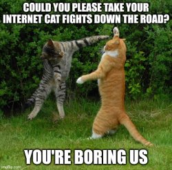 cat fights Meme Template