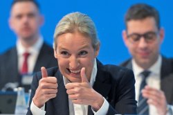 Alice weidel Meme Template