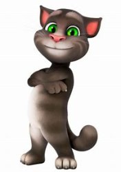 Talking Tom Meme Template